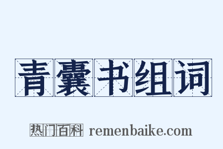 青囊书组词是什么意思的图片